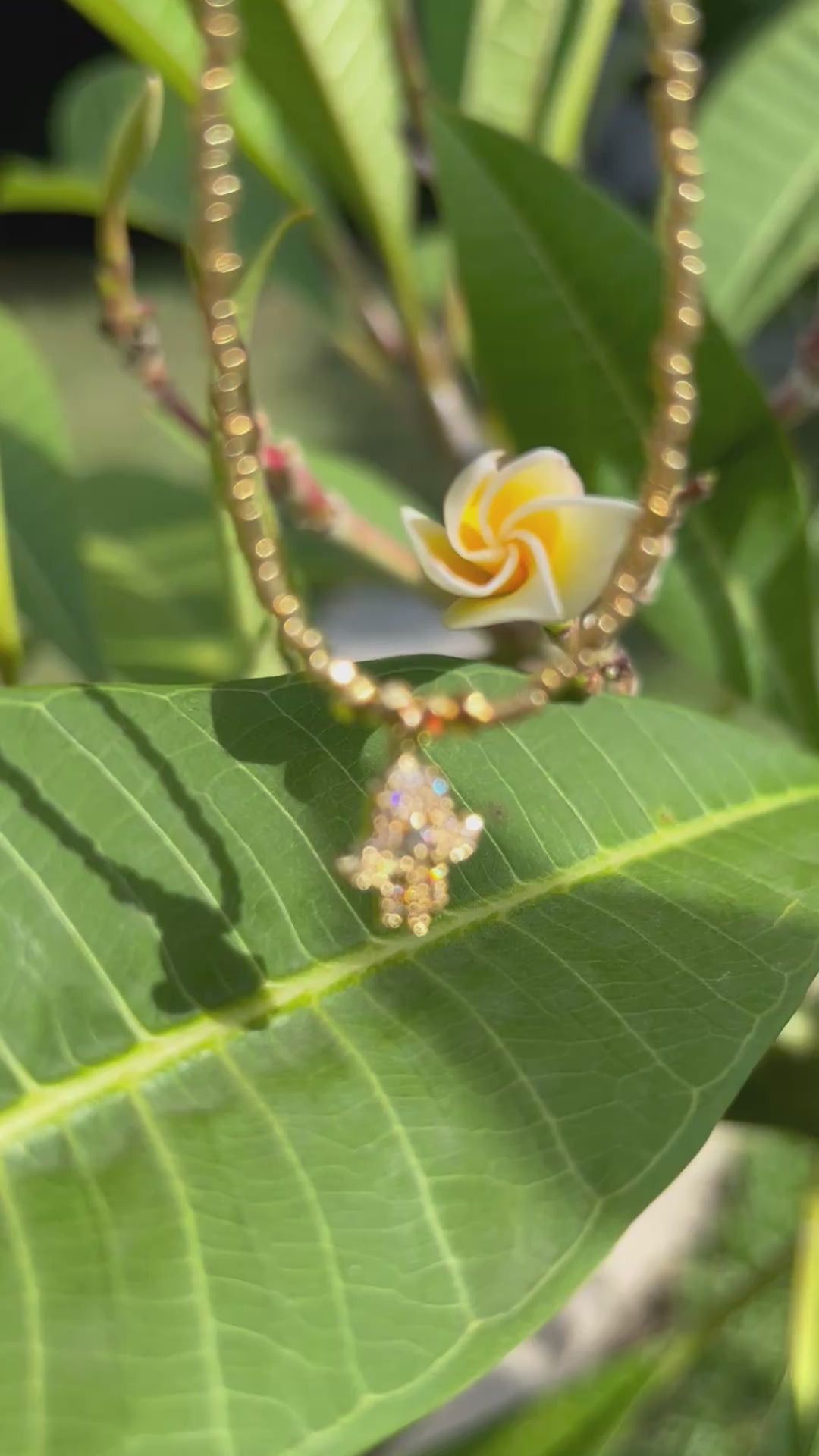 Choker <BR> HAMSA
